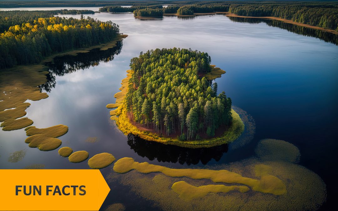 Litwa – mijanie lasów, bagien i mokradeł